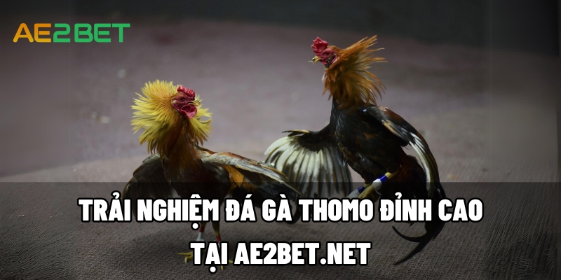 da ga thomo ae2bet.net